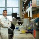 Dr. Anthony Wang in the lab.